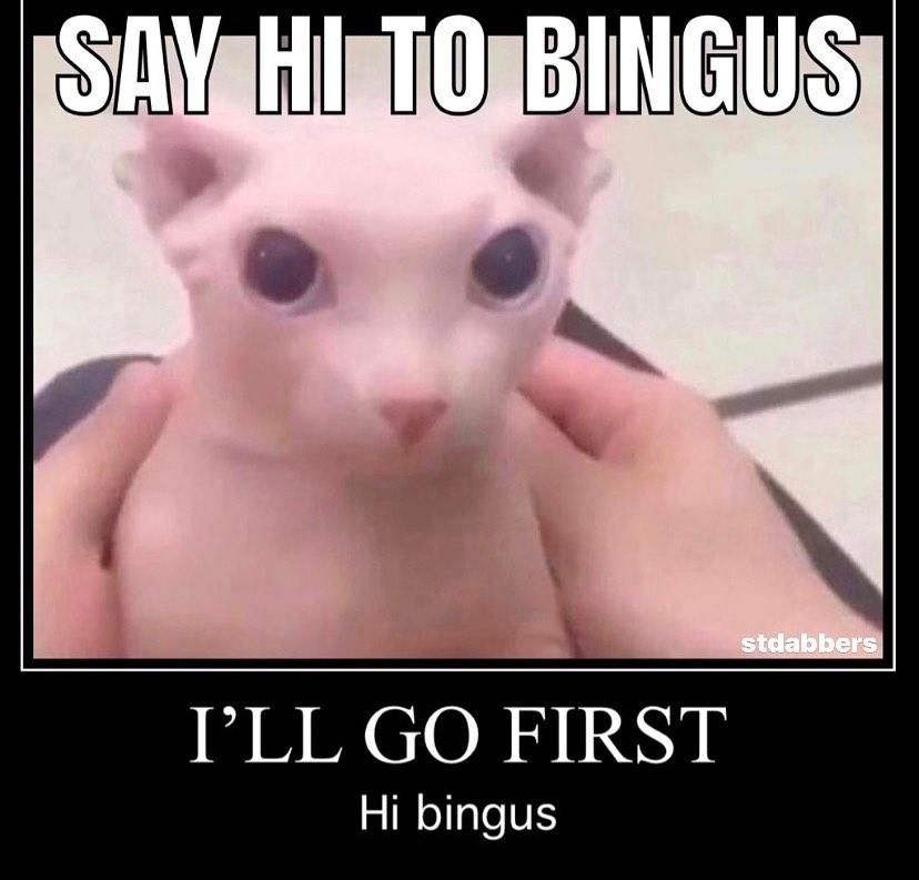 nice try!